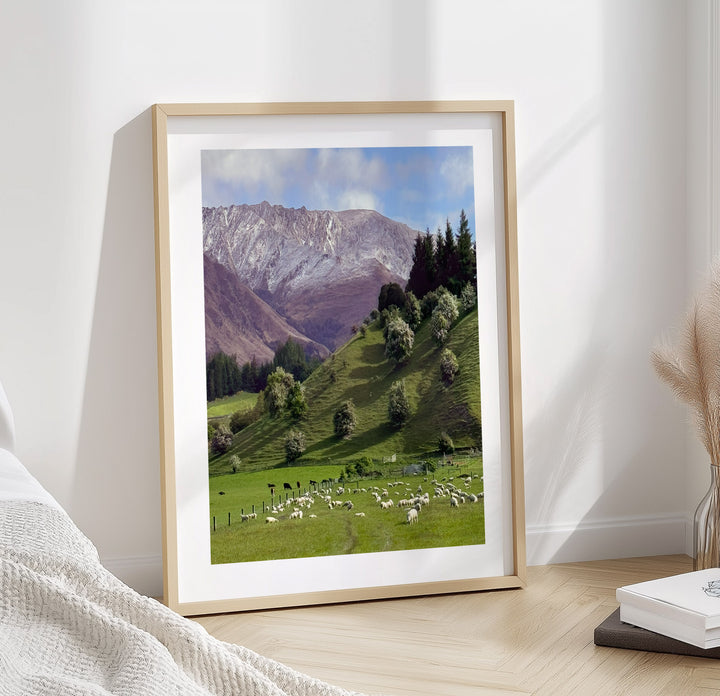 SUMMER IN ARROWTOWN, NEW ZEALAND