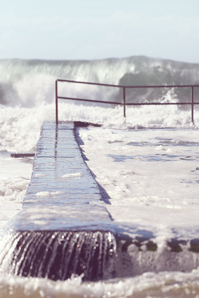 SET OF 2 – AUSTINMER POOL & PALM