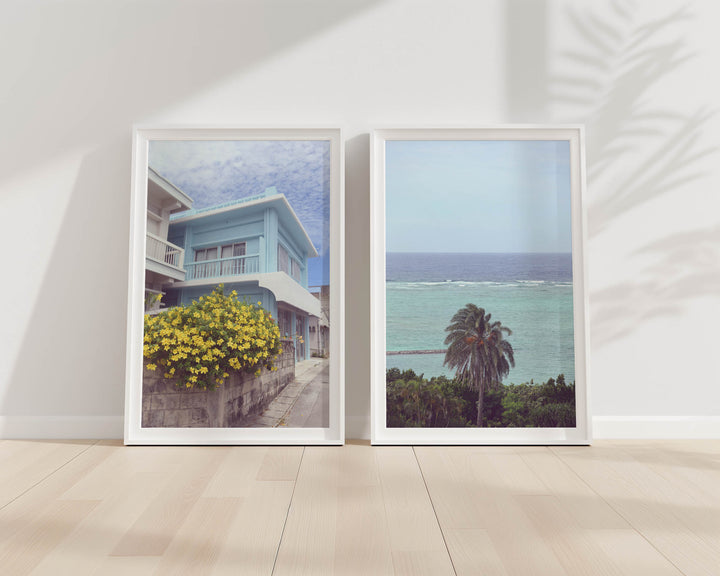 SET OF 2 - OKINAWA TROPICS, JAPAN