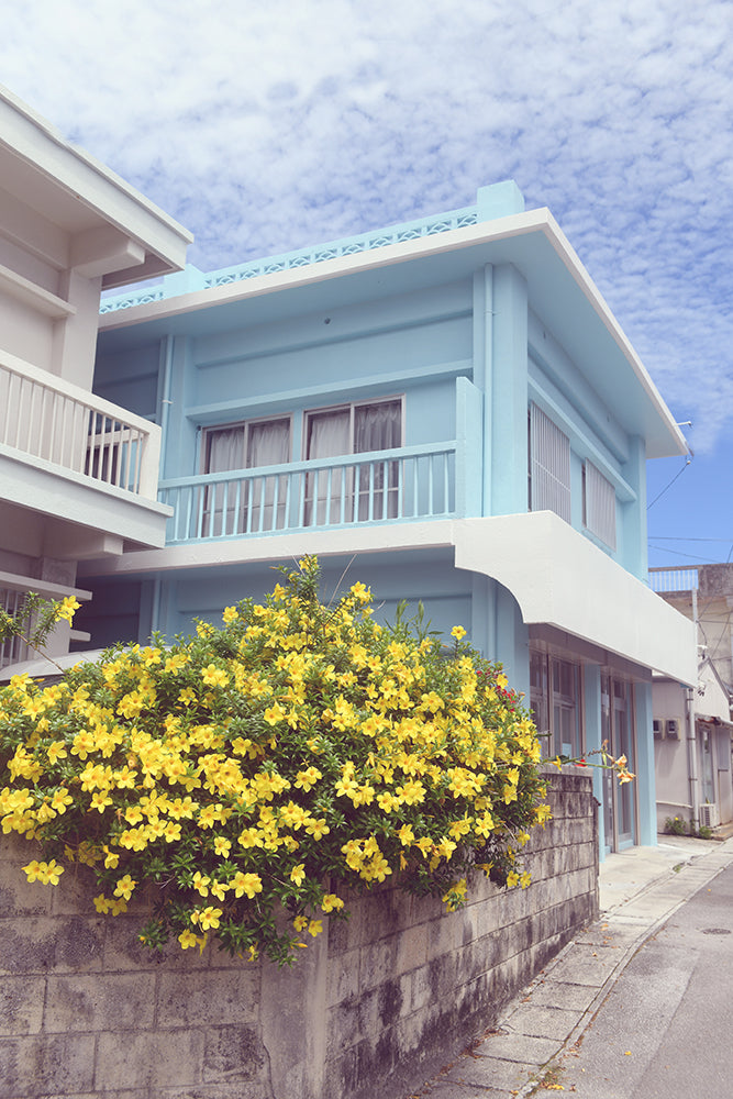 SET OF 2 - OKINAWA TROPICS, JAPAN