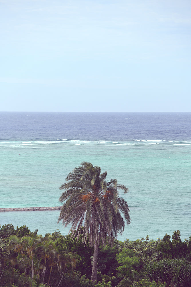 SET OF 2 - OKINAWA TROPICS, JAPAN