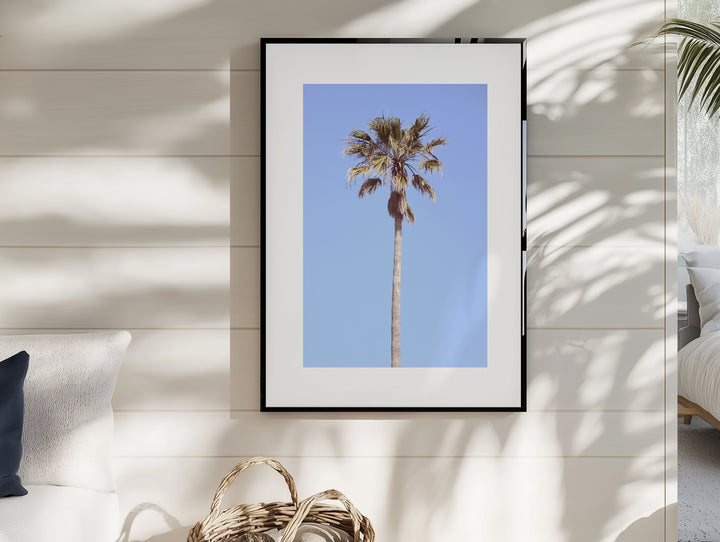 LONE PALM
