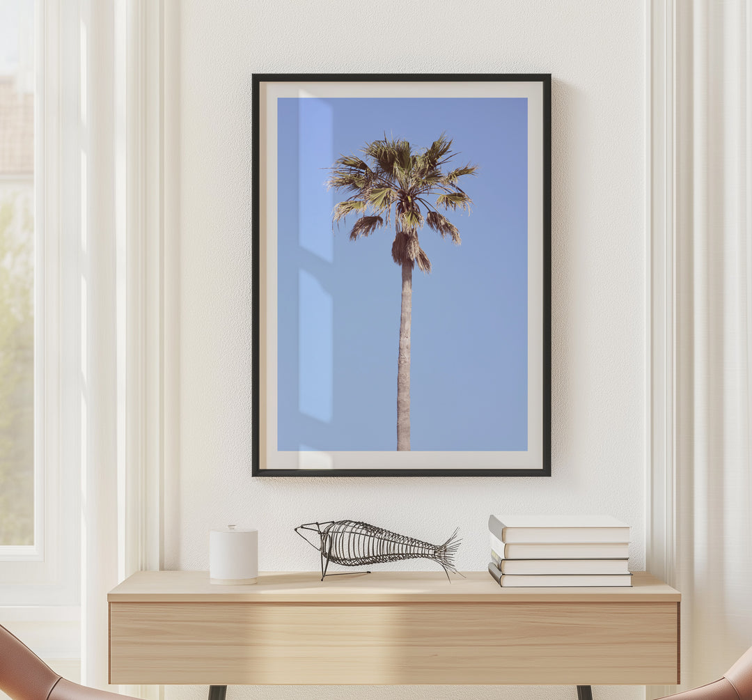 LONE PALM