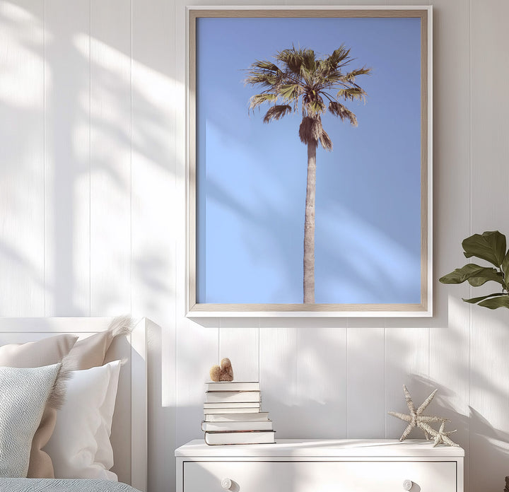 LONE PALM