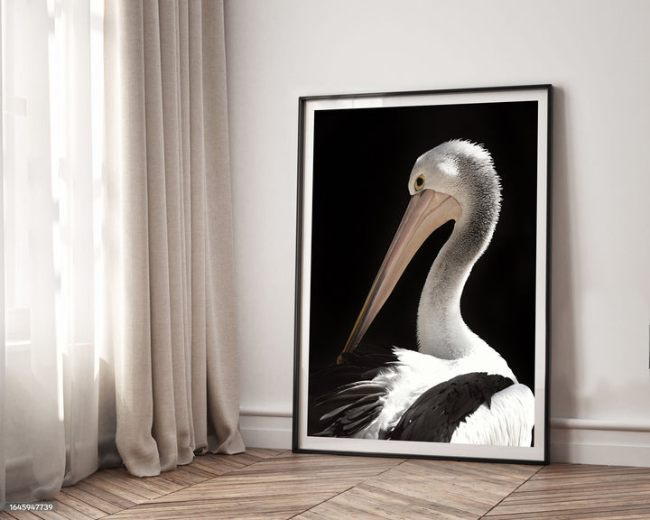 PENNY PELICAN