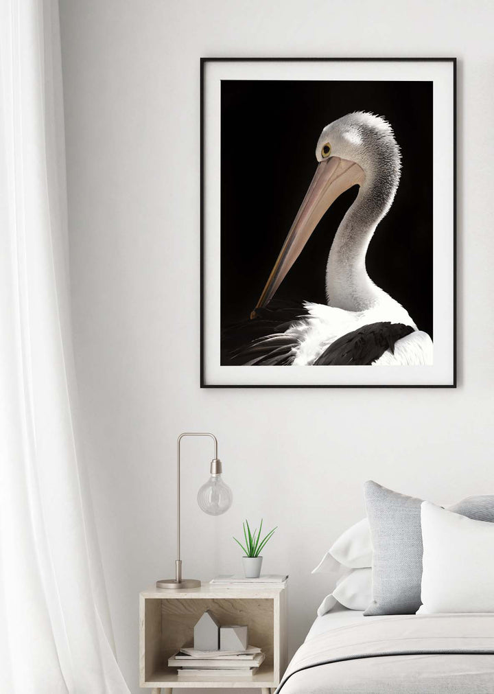 PENNY PELICAN