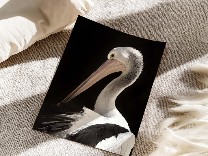 PENNY PELICAN