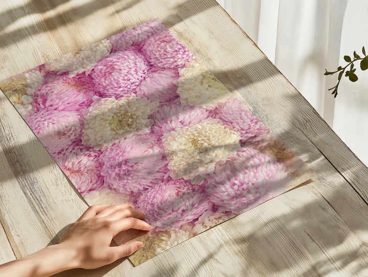 PINK AND WHITE PEONY MUMS