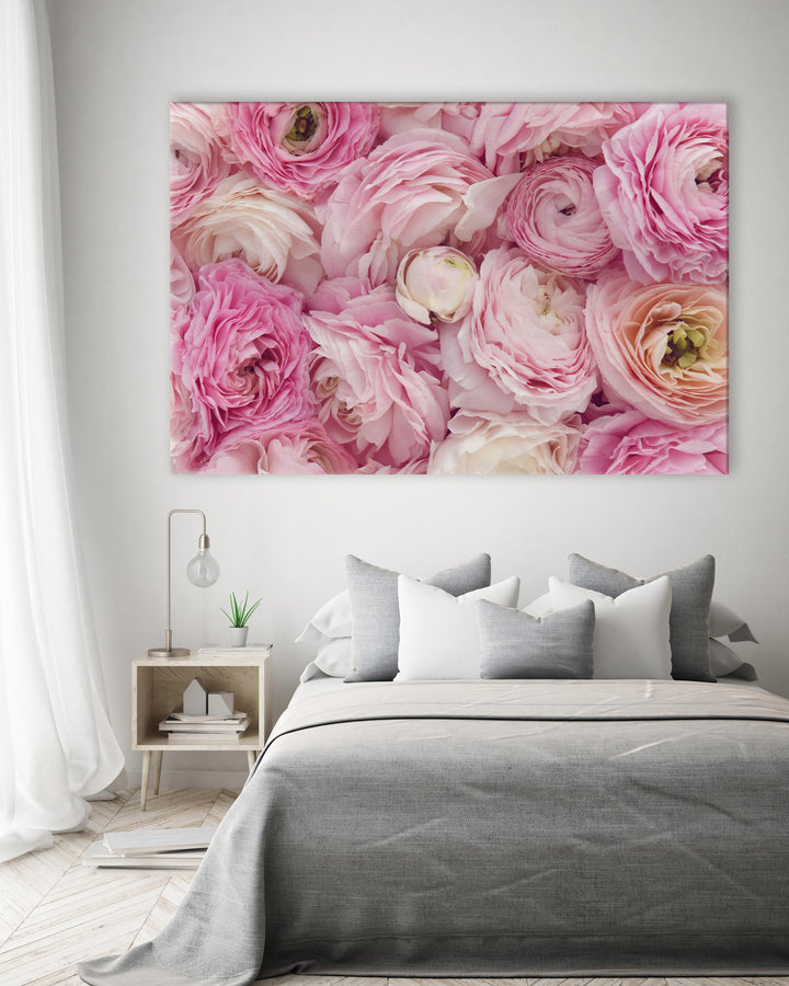 PINK RANUNCULUS LANDSCAPE