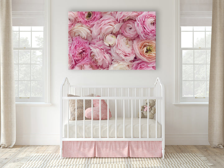 PINK RANUNCULUS LANDSCAPE