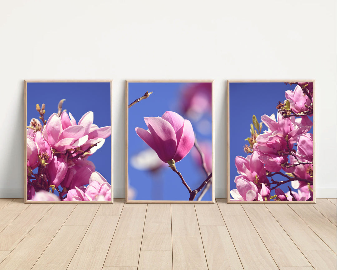 SET OF 3 – SPRING MAGNOLIA