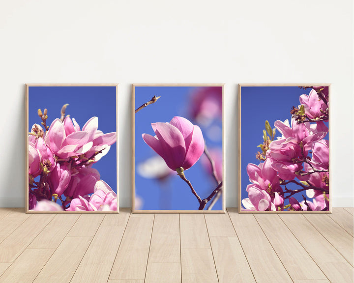 SET OF 3 – SPRING MAGNOLIA