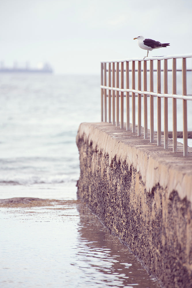 SET OF 3 - BEST OF SANDON POINT