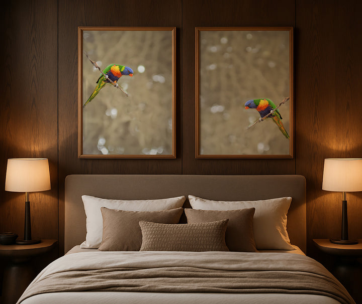 SET OF 2 - LORIKEET PAIR