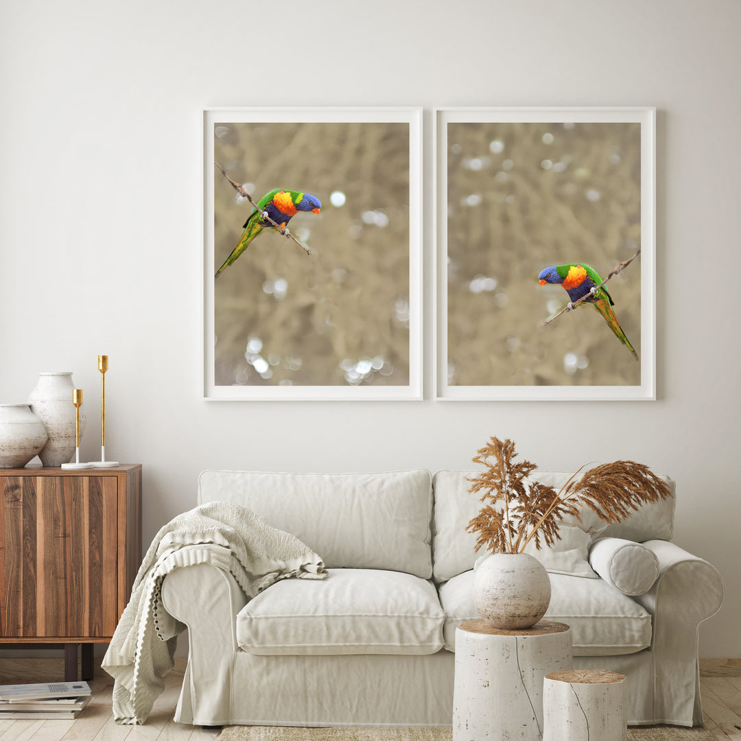 SET OF 2 - LORIKEET PAIR