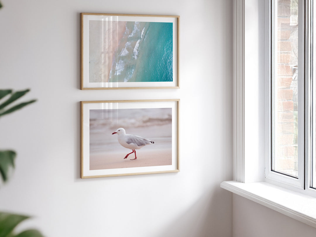 SET OF 2 - SUNRISE SEAGULL