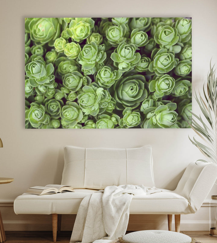 DODRANTALIS LANDSCAPE