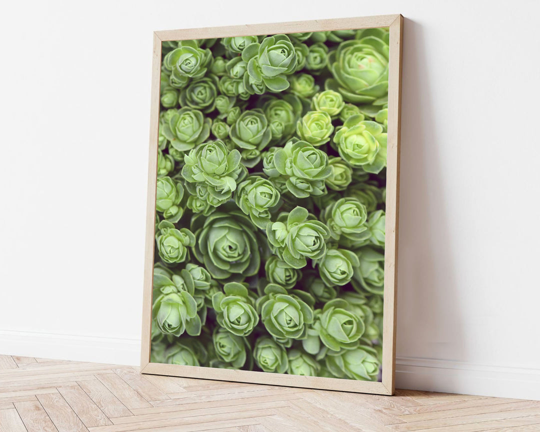 DODRANTALIS PORTRAIT