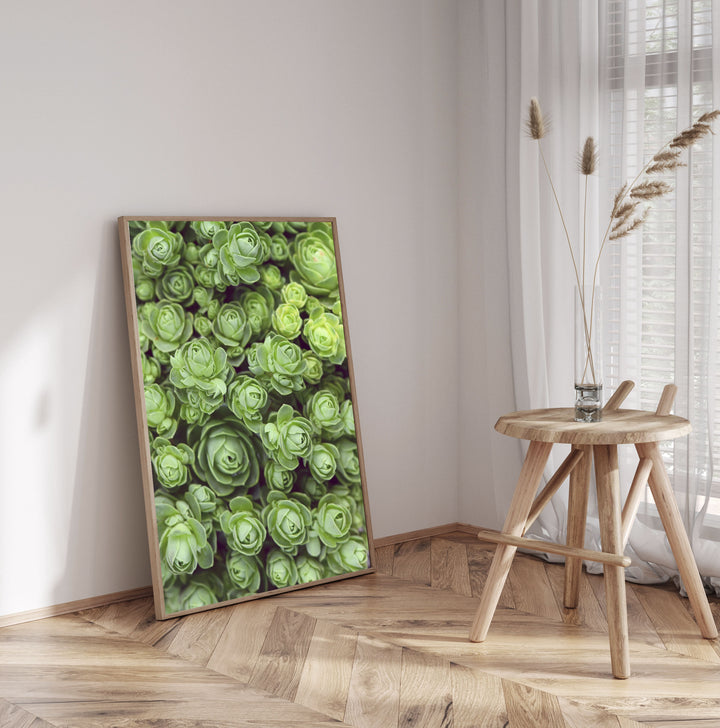 DODRANTALIS PORTRAIT