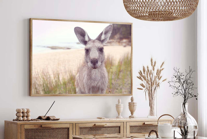 ROO STAND OFF