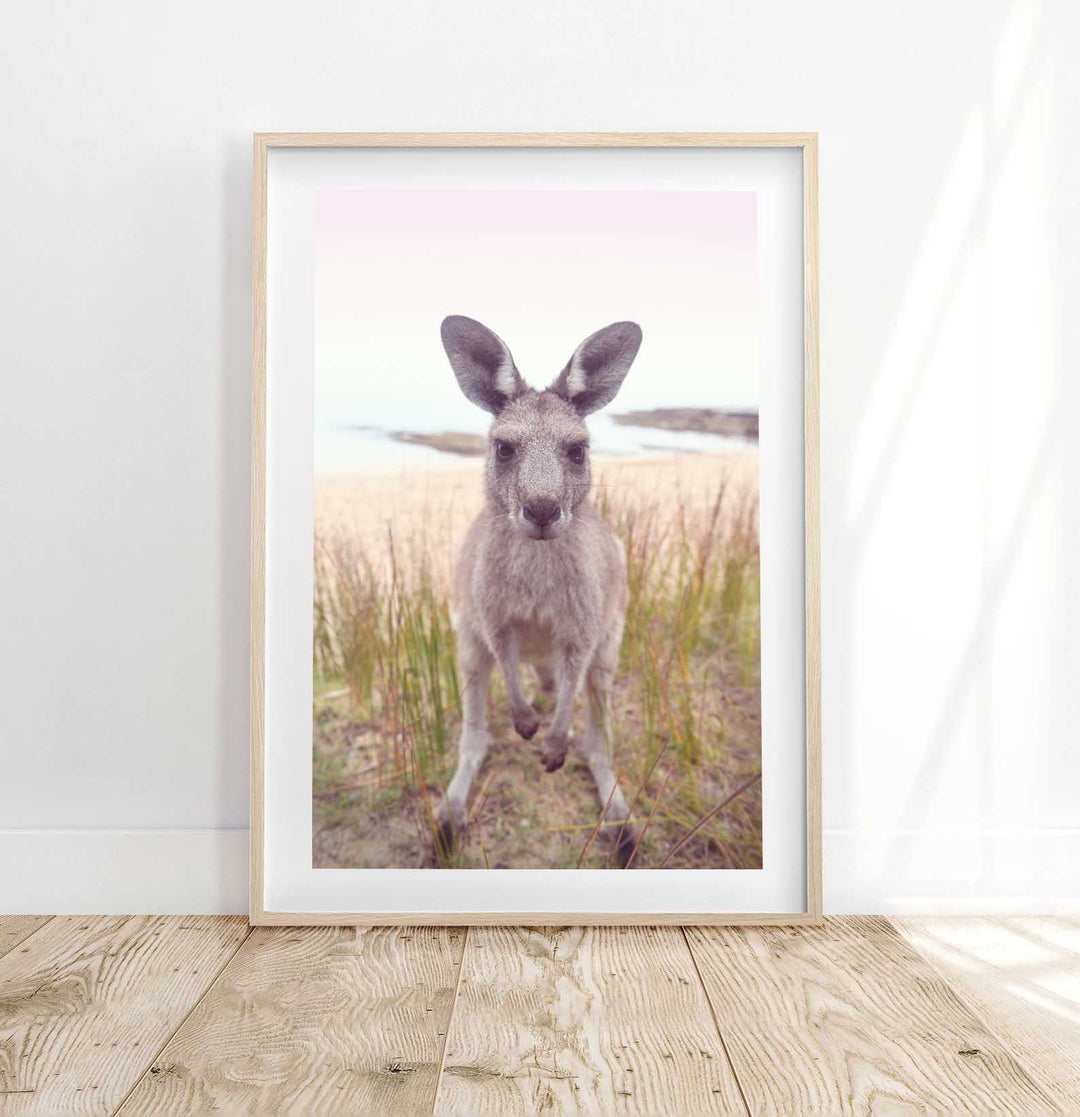 ROO STARE