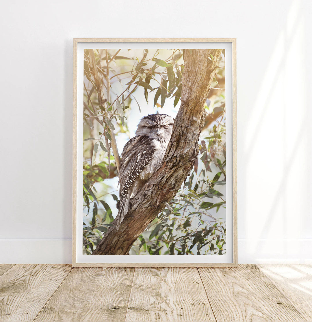 TAWNY