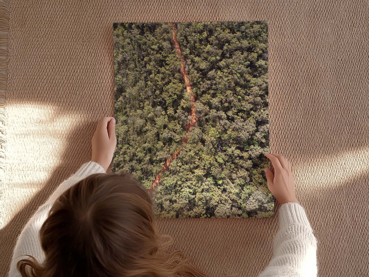 THE OAKS TRAIL II