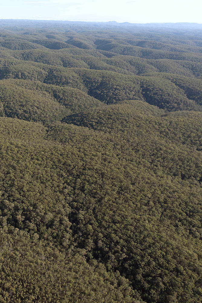SET OF 2 - WOODFORD TO GLENBROOK TRAIL, BLUE MOUNTAINS