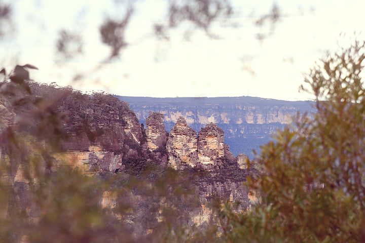 THREE SISTERS BEHIND THE GUMS