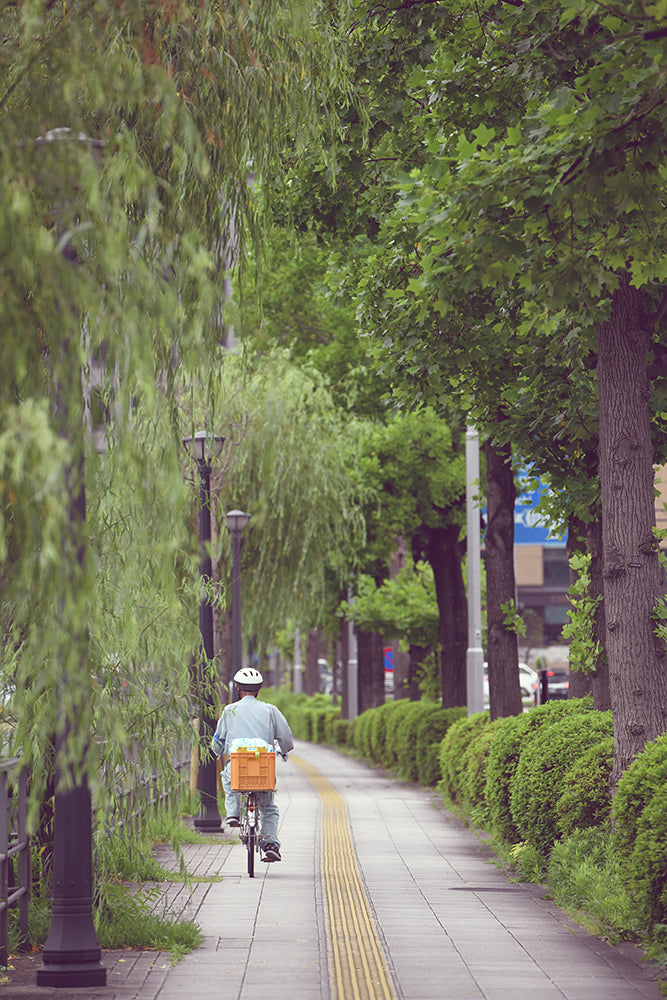 SET OF 3 - ICONIC TOKYO