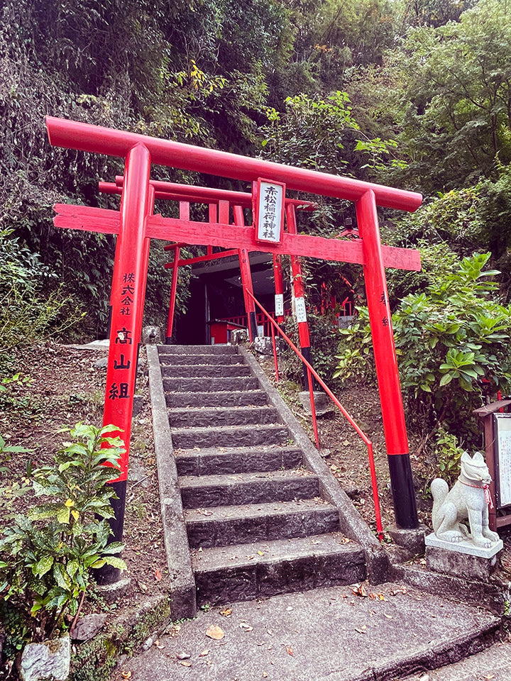 SET OF 2 - TAKETA RICE FIELDS