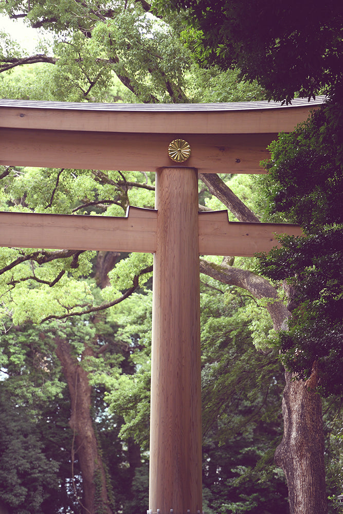 SET OF 3 - YOYOGI PARK, JAPAN
