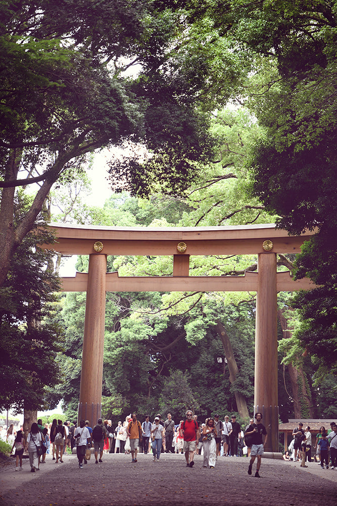BUSY YOYOGI TORII GATE, TOKYO