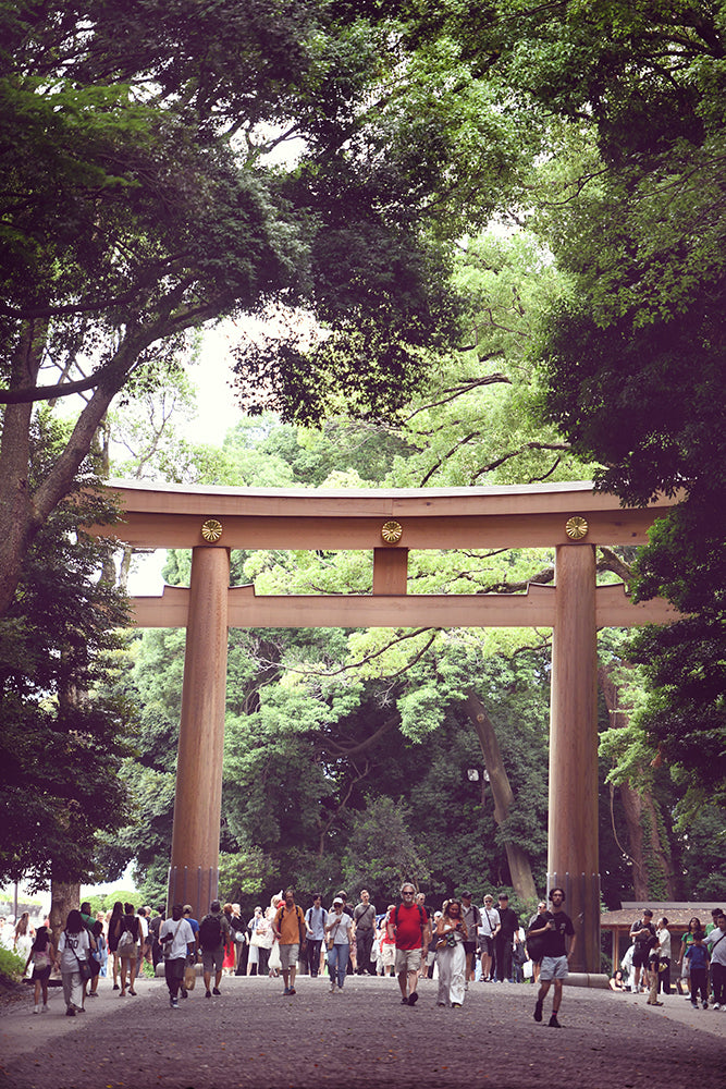 SET OF 3 - YOYOGI PARK, JAPAN