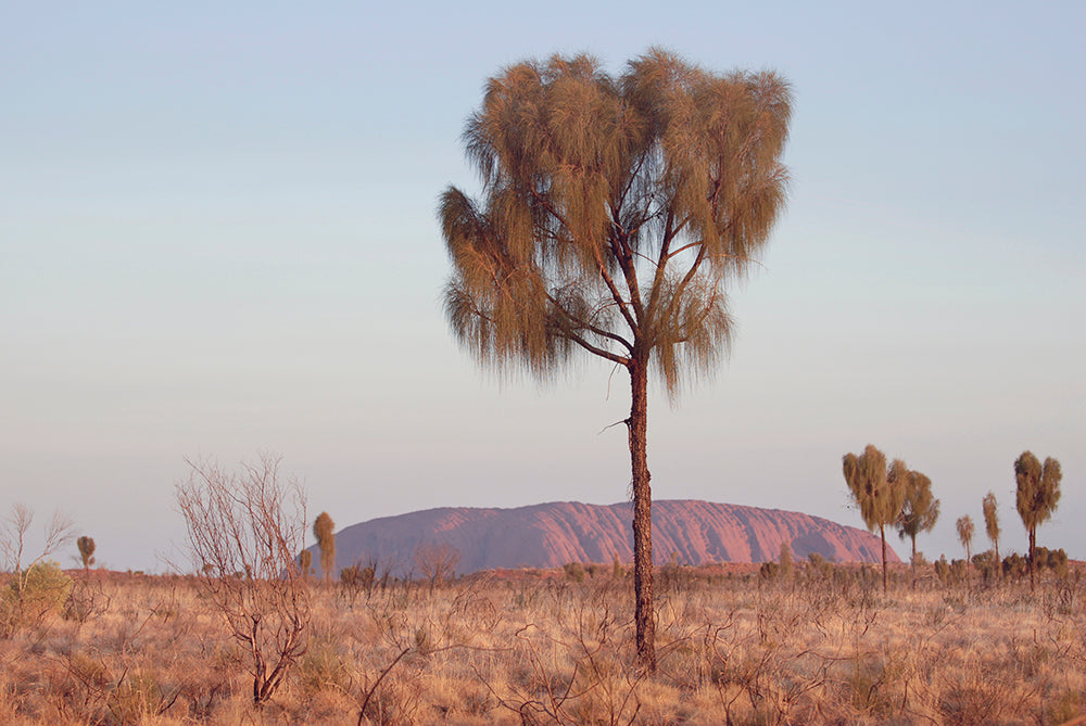 SUMMER IN ULURU