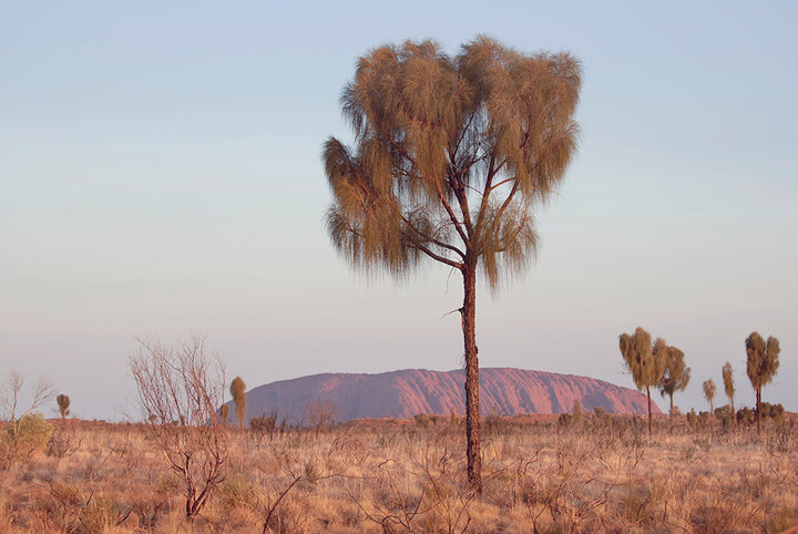 SUMMER IN ULURU
