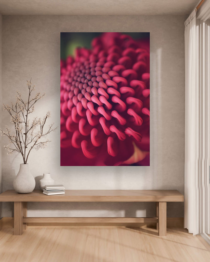 SPRING WARATAH