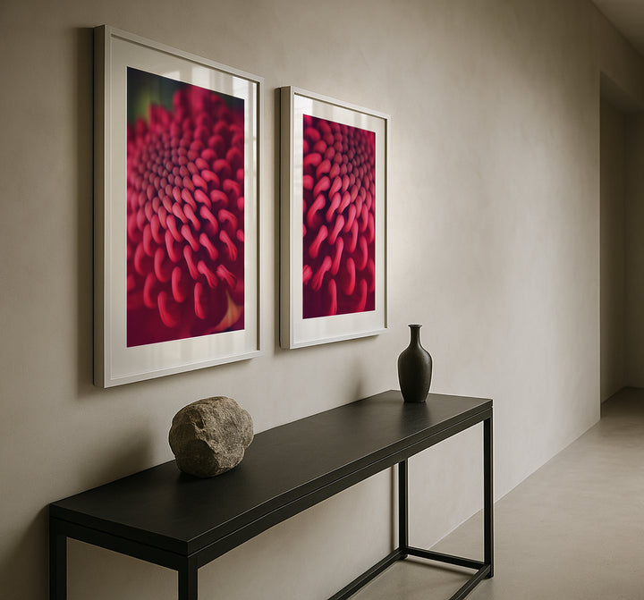 SET OF 2 – WARATAH LOVE