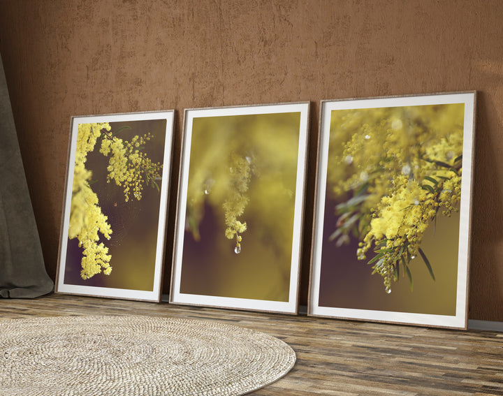 SET OF 3 – AFTER THE RAIN