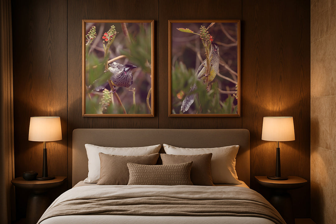 SET OF 2 - WATTLE BIRD