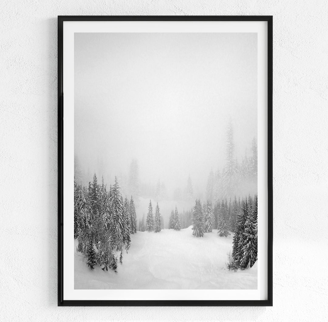WINTER ON WHISTLER MOUNTAIN BLACK AND WHITE, CANADA