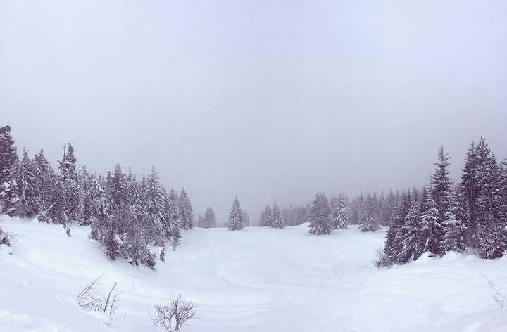WHISTLER MOUNTAIN, CANADA