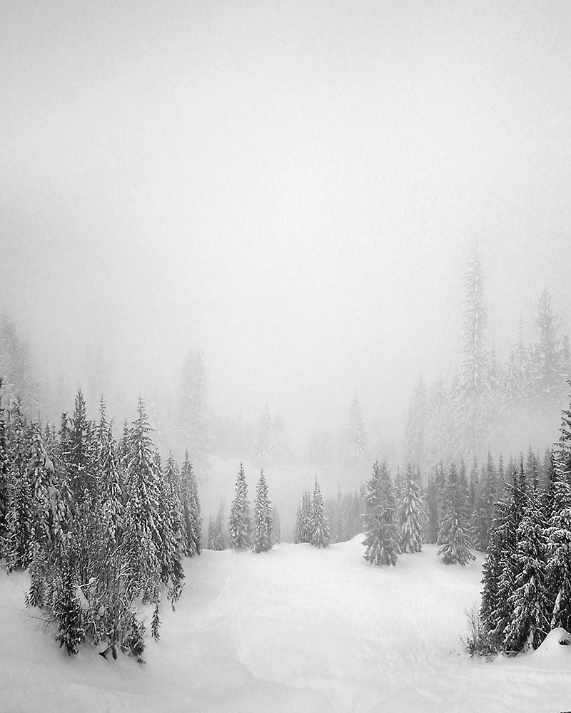 WINTER ON WHISTLER MOUNTAIN BLACK AND WHITE, CANADA