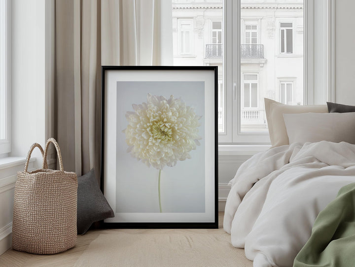 SOLO WHITE PEONY MUM