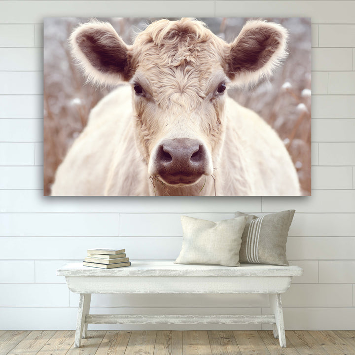 BESSIE