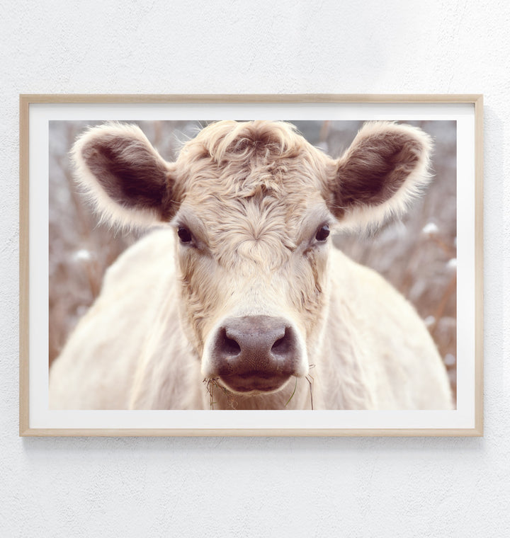 BESSIE
