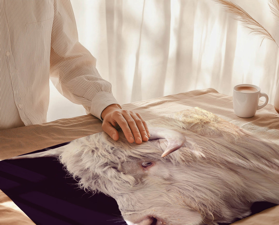 ARTHUR THE HIGHLAND COW