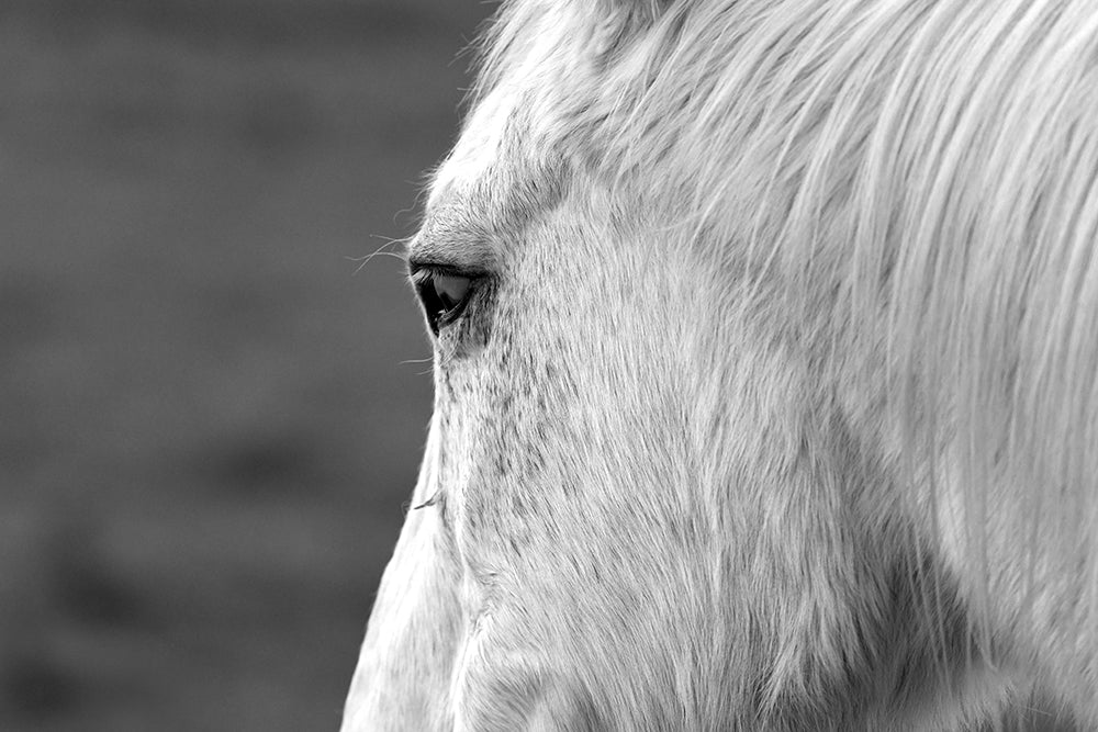 ESTELLE BLACK AND WHITE