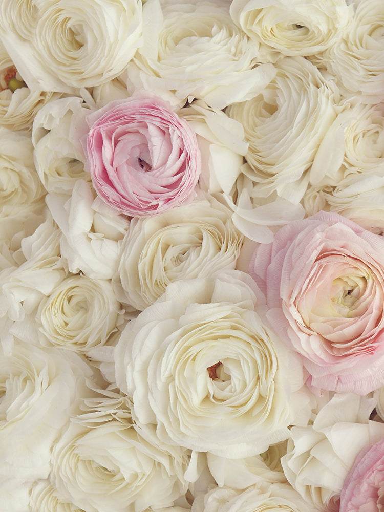 SET OF 2 – PINK OMBRE