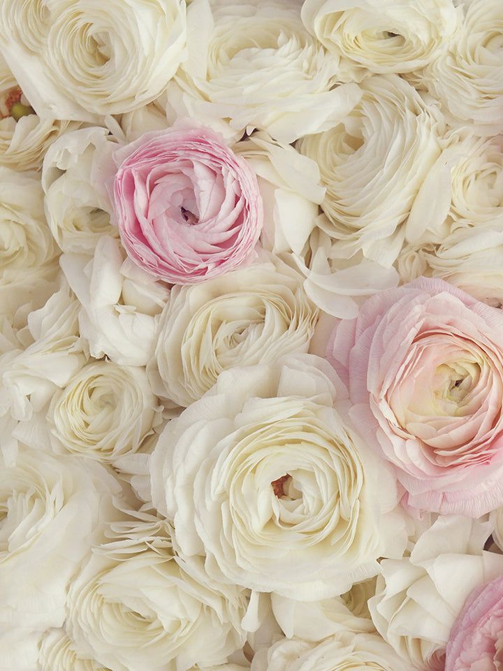 SET OF 2 – PINK OMBRE